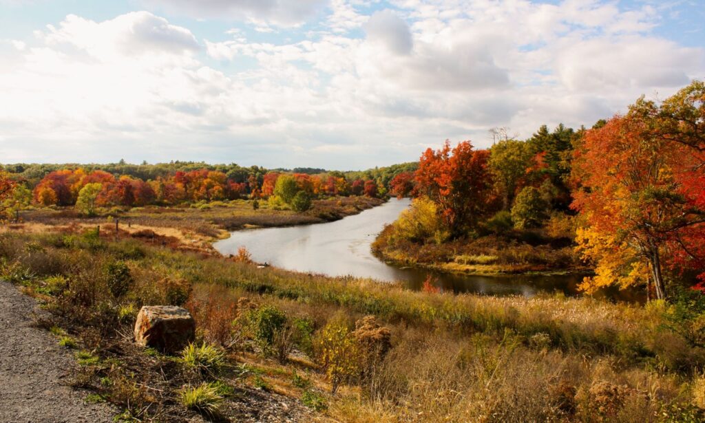 Charles River and fall foliage.