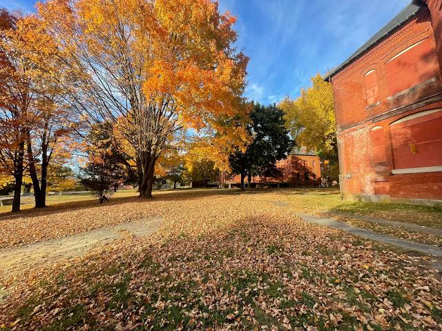 Brick buildings and fall foliage.