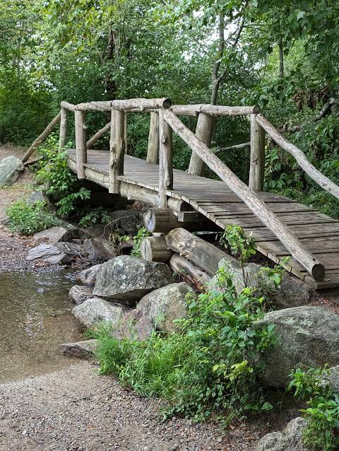 bridge at borderland state park in ma